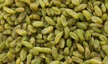 تصویر 3 از فروش کشمش سبز قلمی + قیمت خرید به صرفه